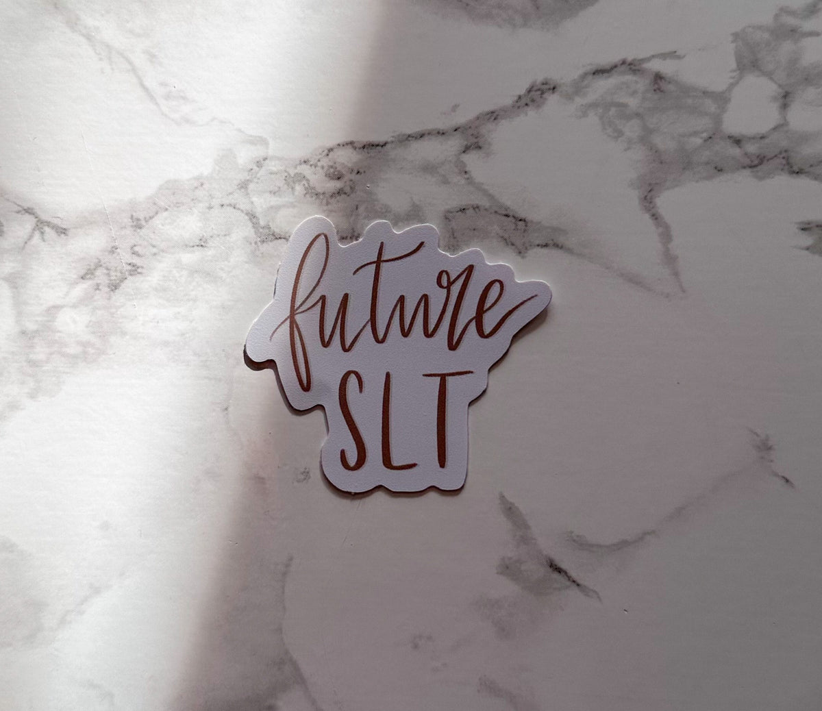 future SLT | sticker